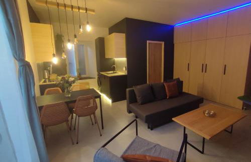 Cocon Lux au centre de Voiron - Foto 2