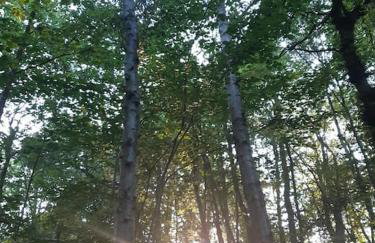 Skipton at Six - Foto 56