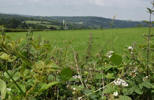 The Cottage, Poplars Farm - Foto 14