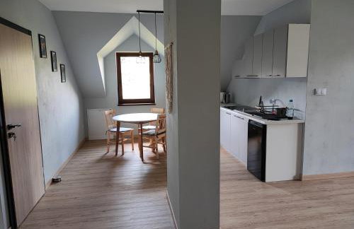 Apartamenty pod groniem - Foto 21