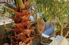 La Casa al Mare Vulcano - Foto 54