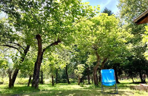 Maison en forêt, calme, proche village et piste cyclable - meublé 3 étoiles - Foto 20