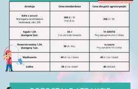 Kaszuby, agroturystyka z alpakami- pokój z łazienką - Foto 5