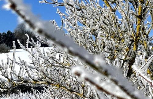 5-Sterne Wohlfühl-Ferienhaus Eifellust - Foto 13