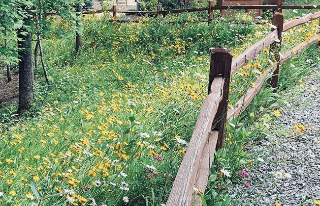 Lazy Days Cabin - Foto 27