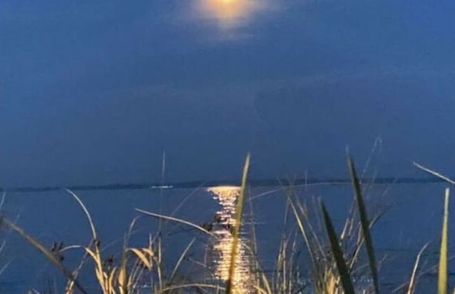 2 Rena Modern Retreat - Foto 12