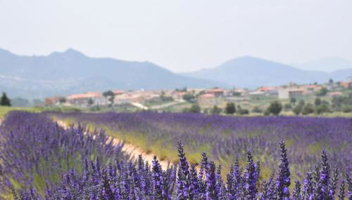 El Calar - Casas Rurales Luis - Foto 2