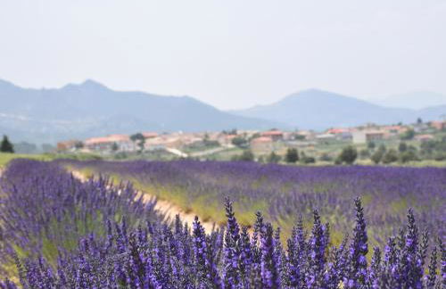 El Calar - Casas Rurales Luis - Foto 2
