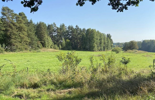 4 Person Holiday Home in Animskog - Photo 19