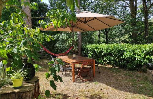 Porcaticcio - Foto 5