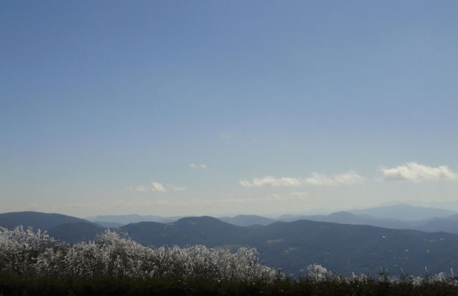 VCI - Elderberry Overlook - Foto 25