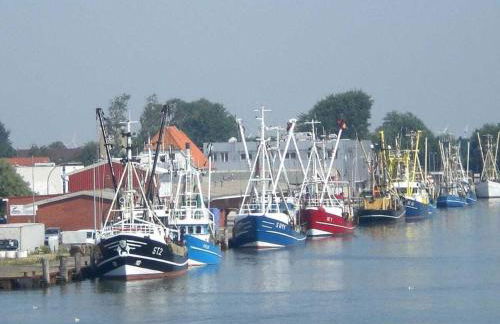 Pippert Comfortable holiday residence - Foto 22