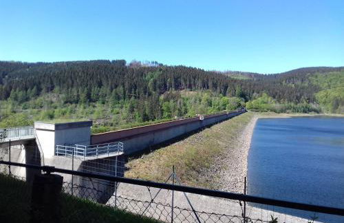 Fewo im Grünen - Foto 11