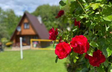 Domki pod Skałką - Foto 14