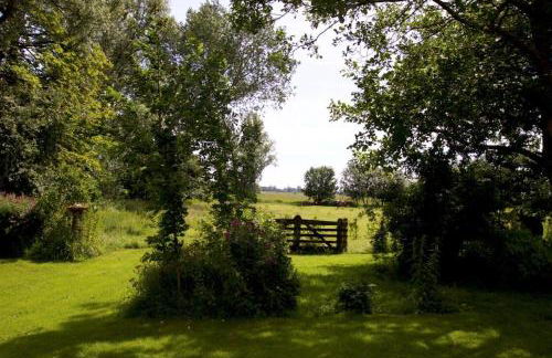 Kruemelkate - Foto 31