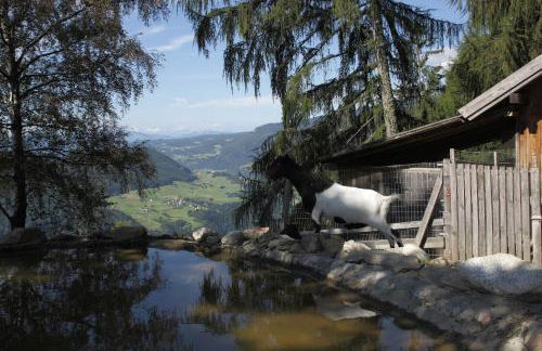 Gspoi-Hof - Photo 21