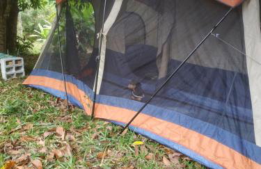 Vale do sol - Foto 31