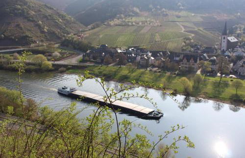 Ferienwohnungen Am Bruttiger Moselsteig - Foto 75