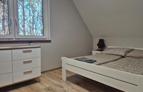 KASZUBY Oliwkowy domek Niesiołowice na Kaszubach Balia z Jacuzzi Jeziora lasy - Foto 13