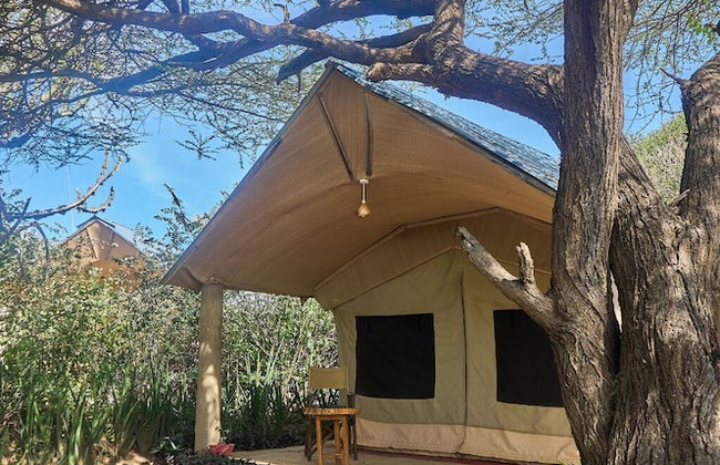 Tindiga Tented Camp - Foto 51