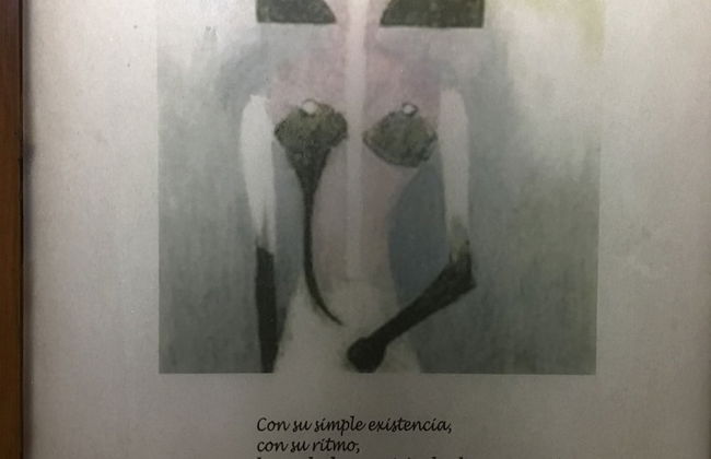 Suites Contempo - Foto 50