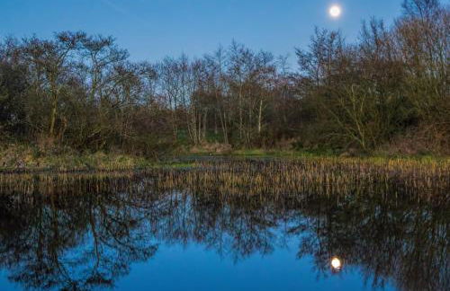 Ballylagan Organic Farm - Foto 44