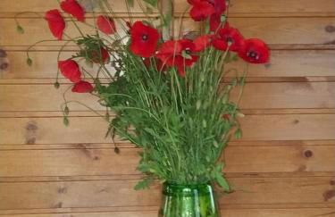 Les roulottes Vesta - Foto 22