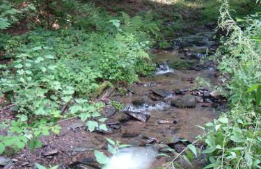 Haus Eifelinchen - Foto 26