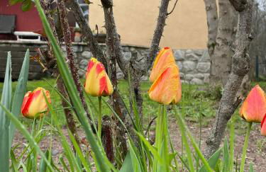 Casita Bonita - Foto 39