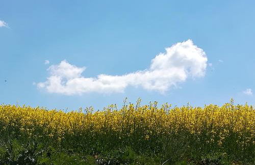 Agriturismo Il Riccio - Foto 7