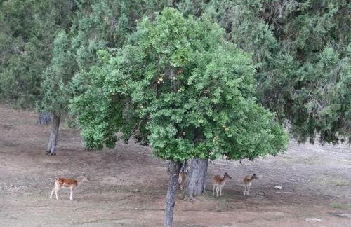 Casa Rural Lahuerta - Foto 31