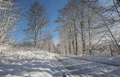 Appartement Mountain Escape 66 - Comfort & Uitzicht | Am Bergelchen 66 Niedersfeld Winterberg - Foto 51