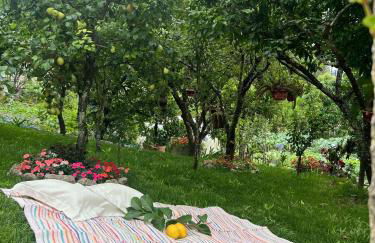 Sequeira Arantes Casa 2 - Foto 25