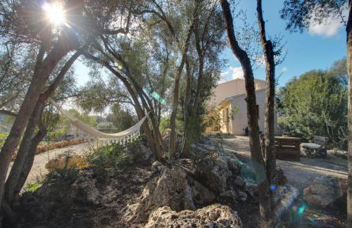 Finca S'Erissal de Costitx - Foto 18