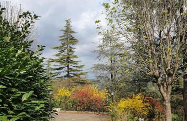 Le Stagioni del Parco - Foto 41