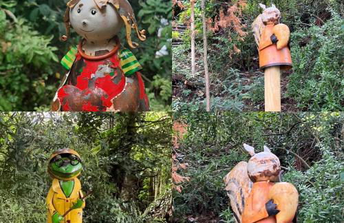 Noah - Seeleben auf Zeit am Rursee - Foto 16