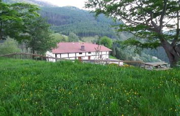 Ondarbaso Apartamentos Rurales II - Foto 7