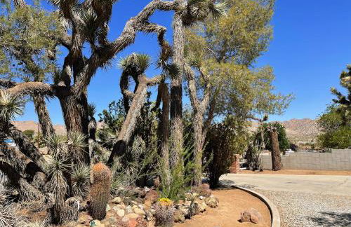 *NEW*King Beds*BBQ Grill*Fire-pit*Hammock*workplace - Foto 33