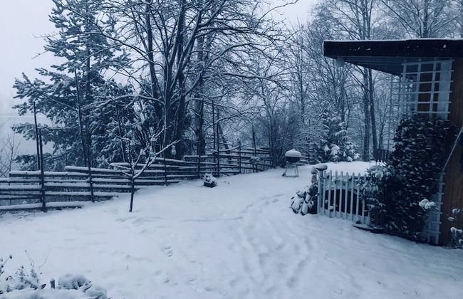 Apple Tree Cabin With River Views - Foto 33