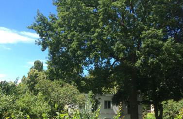 Zur Eiche Potsdam - Foto 1