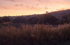 Molino della Tuoma - Foto 62