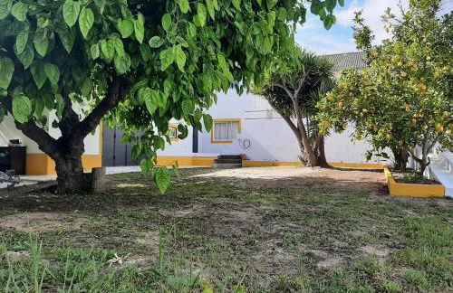 Casa da Amoreira - Barragem de Montargil - Foto 43