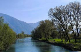 Casa Betty - Photo 43