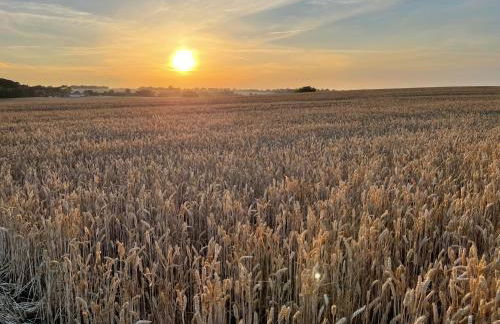 Ferienhaus Herger - Foto 18