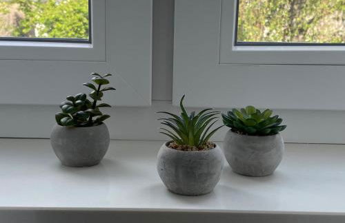 Apartment Nr. 8 Bad Laasphe Altstadt - Foto 11