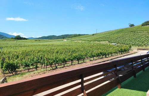 L'Altenberg - Foto 38