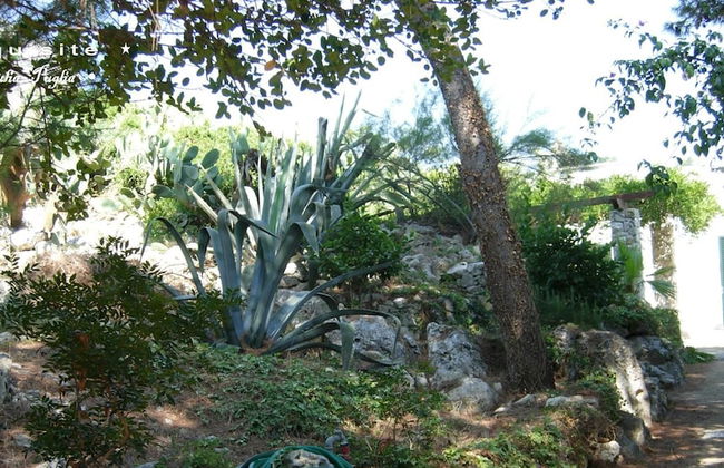 Villa Luxury - Photo 20