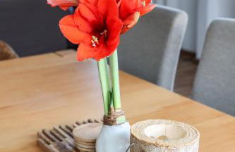 Haus am See - Urlaub im Herzen des Münsterlands - Foto 23