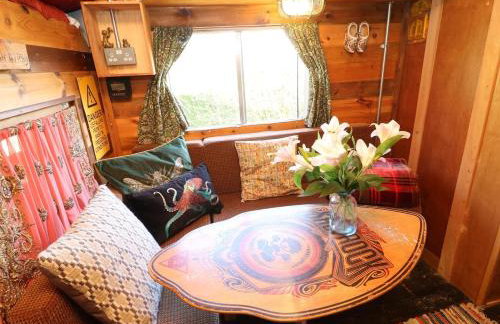 Old Rosie, By House of Pause - Foto 1