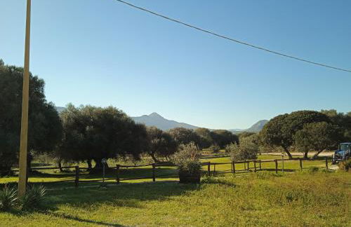 Vistamare - Photo 34